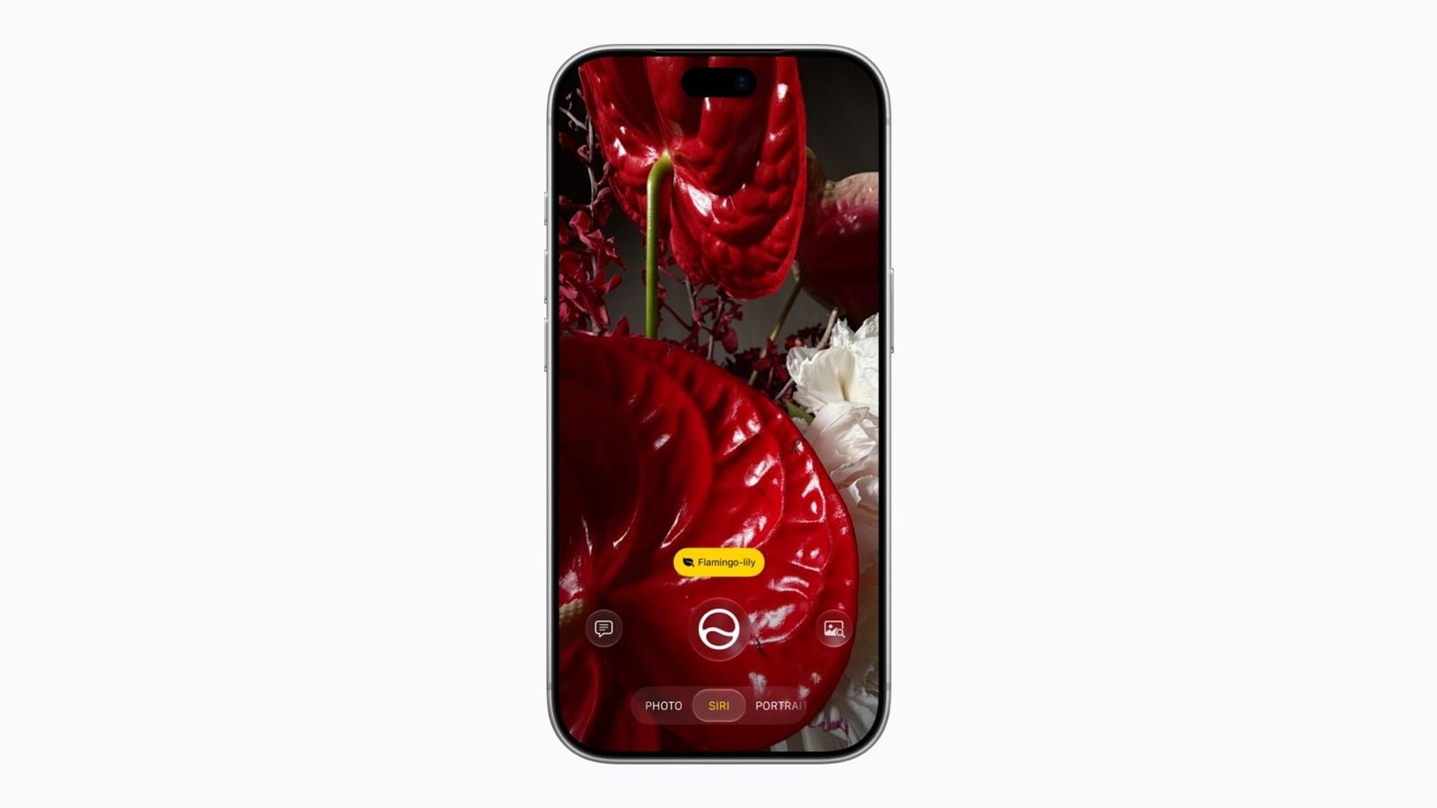 Režim Siri v aplikaci Fotoaparát na iPhone 18 Pro