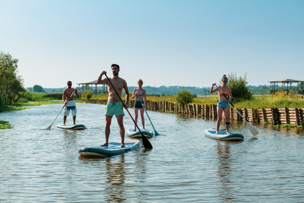 vyberomat cz paddleboard